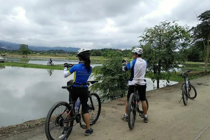Half Day Cycling Tour to the White temple — photo 3