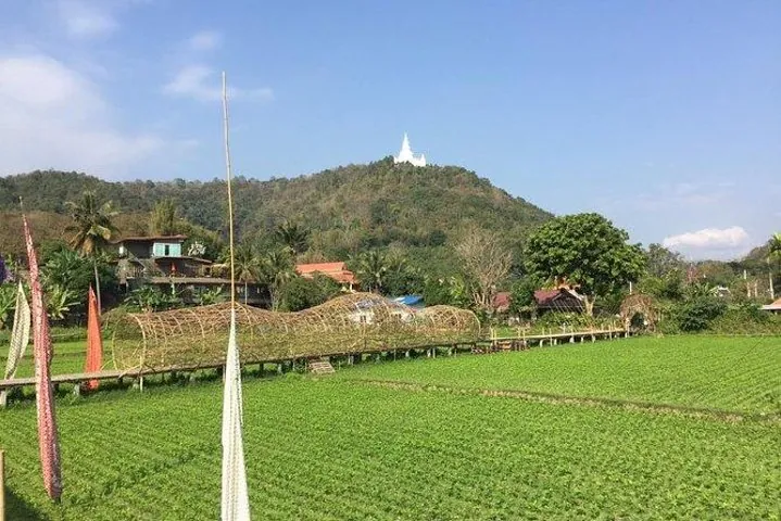 Half-day E-bike Nam Phrae (hilly, fully paved roads, GUIDED) — photo 2
