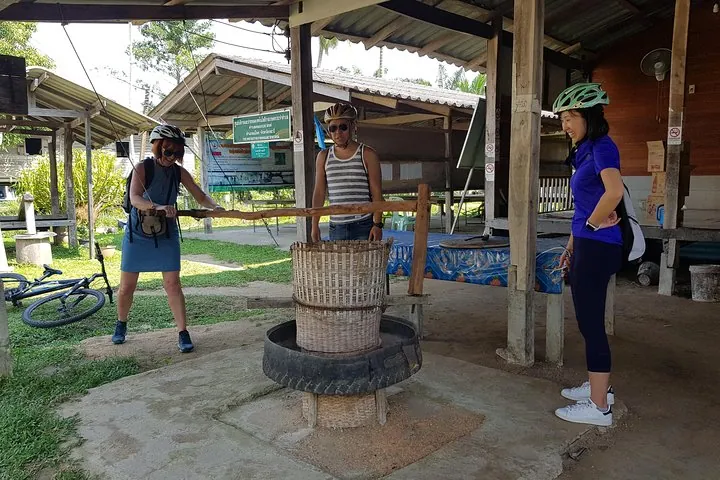 Half day Koh Klang culture cycling — photo 2