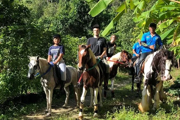 Horseback Riding 1 hour trail