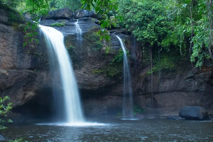 Khao Yai National Park Full-Day From Bangkok - Including Ticket — photo 4