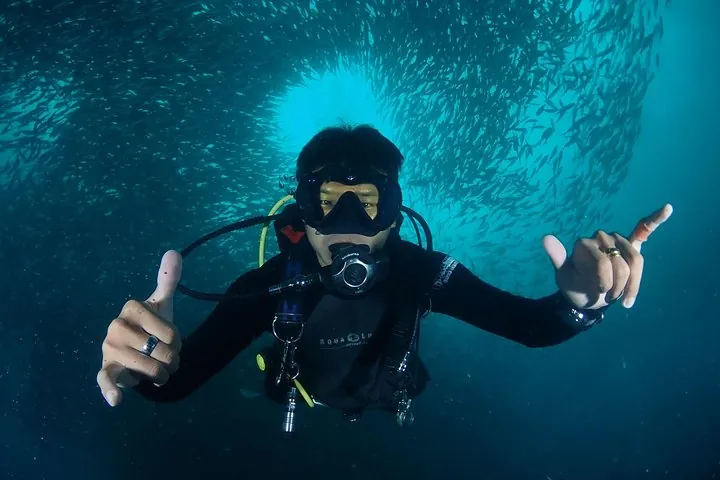 happy diver