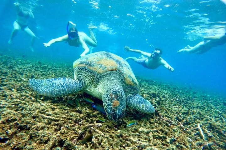 Koh Tao: SunSet Magic Snorkeling Day Trip Tao & Nangyuan w/ Meals — photo 4