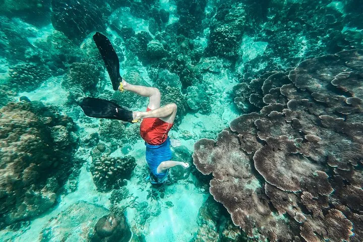 Koh Tao VIP Snorkelling Tour — photo 3