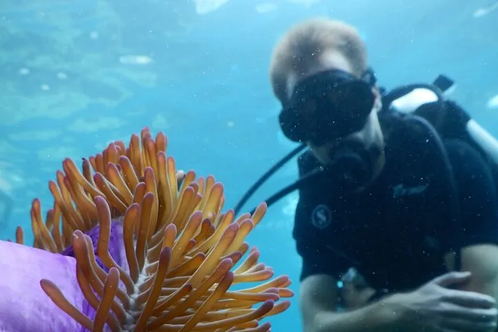 Koh Tao VIP Snorkelling Tour — photo 4
