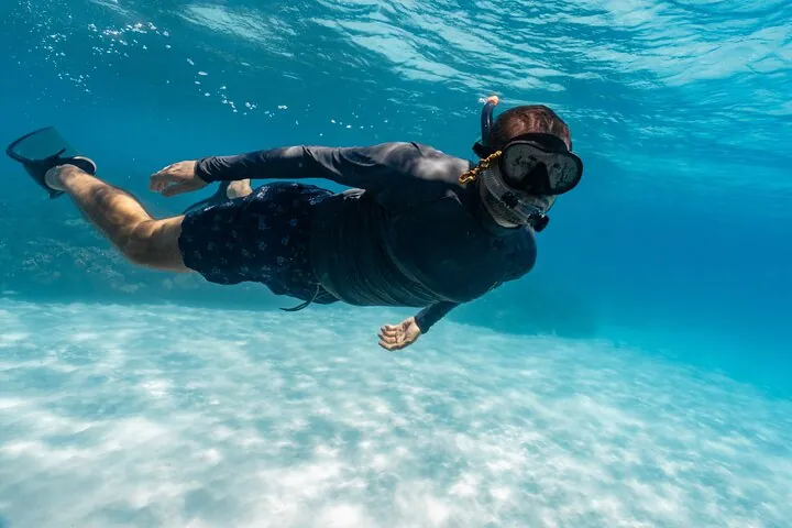 Dive into the vibrant coral reefs and observe the diverse marine life in their natural habitat.