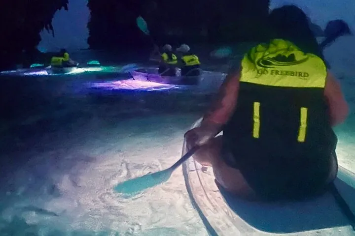 Krabi Stand-Up Paddleboard Illuminated Night Tour