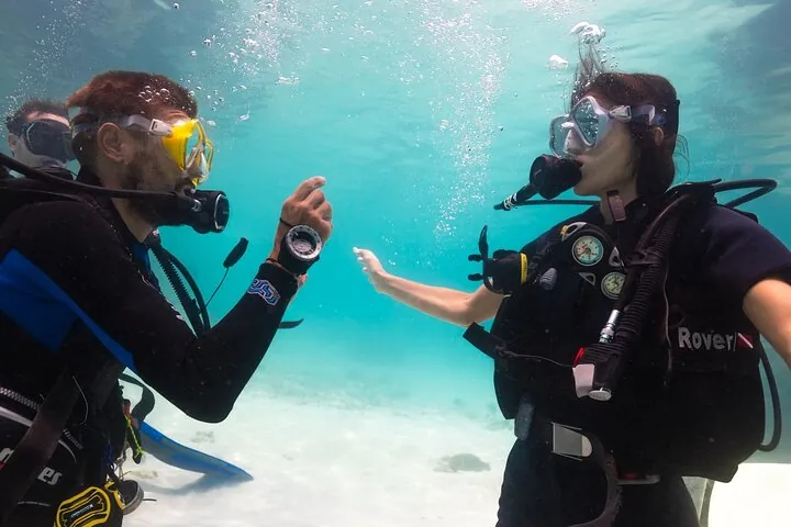 La Bombona Diving Koh Tao Open Water Course — photo 3