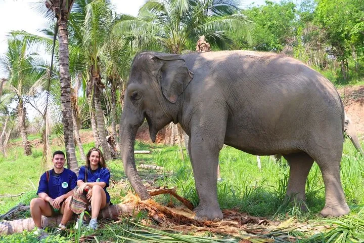 Living Green Elephant Sanctuary Tour from Bangkok and Pattaya — photo 2