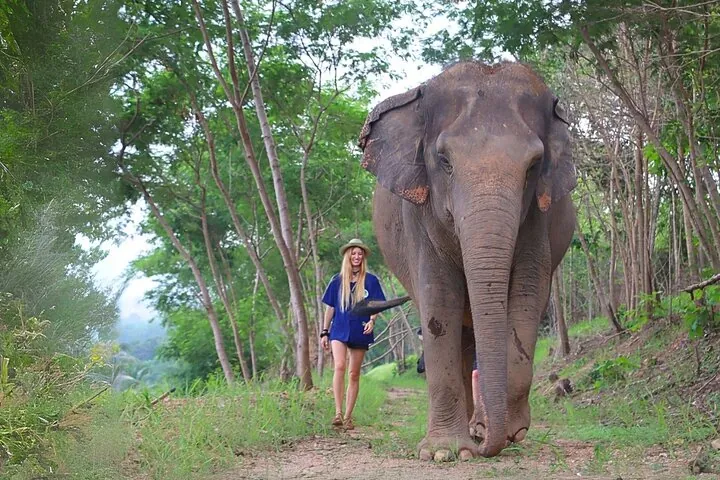 Living Green Elephant Sanctuary Tour from Bangkok and Pattaya