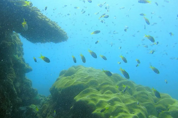 Local Reef Snorkelling and Deserted Beach