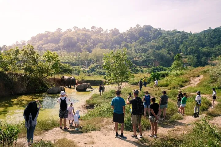 Mini Elephant Nature at Bukit Elephant Park