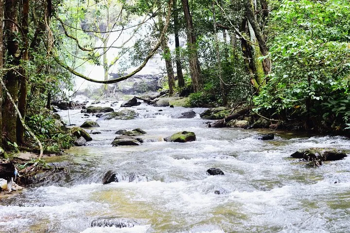 Mount Doi Inthanon National Park Sunrise and Hiking — photo 3