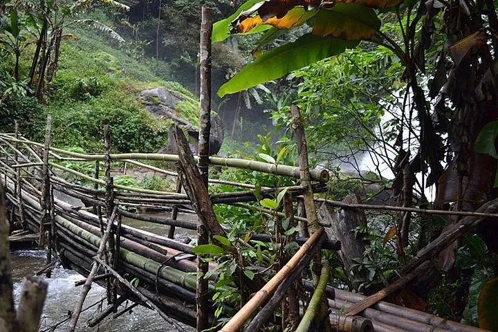 Mount Doi Inthanon National Park Sunrise and Hiking — photo 4