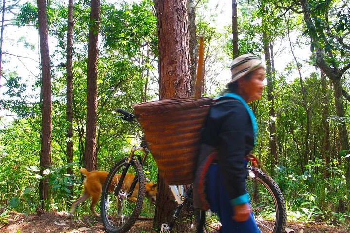 No.1 Chiang Mai: Epic Doi Suthep Downhill MTB Adventure — photo 2