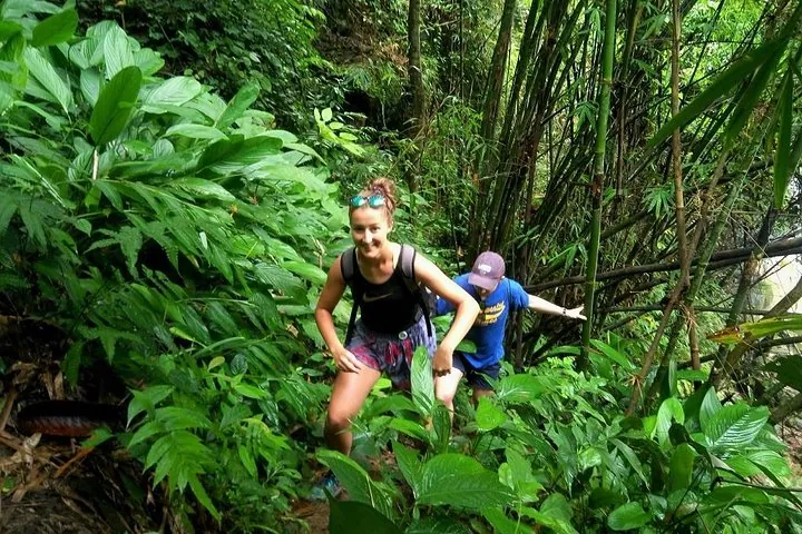 One Day Hiking and Elephant experience by Chiang Mai Elephant Home