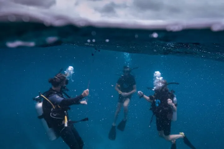 Open Water Course — photo 4