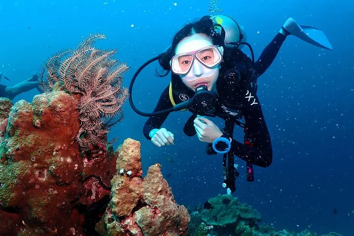 Open Water Course - Become certified diver in 3 days — photo 3