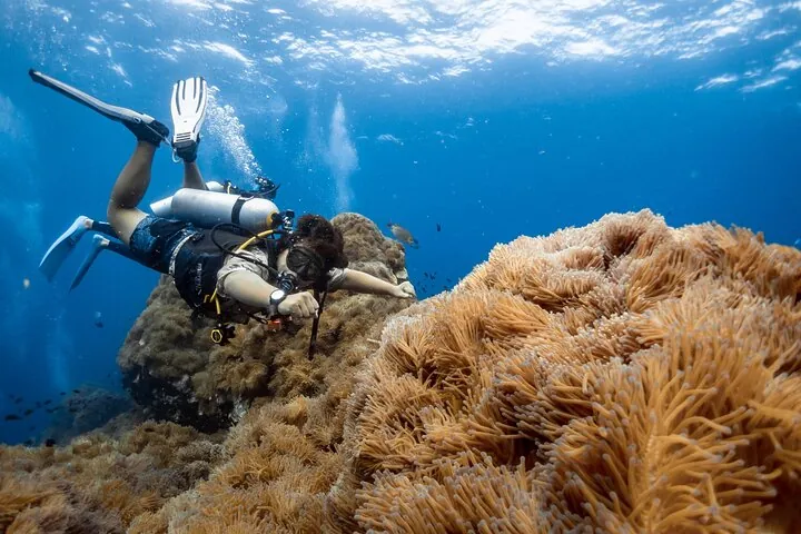 Open Water Course - Become certified diver in 3 days — photo 4