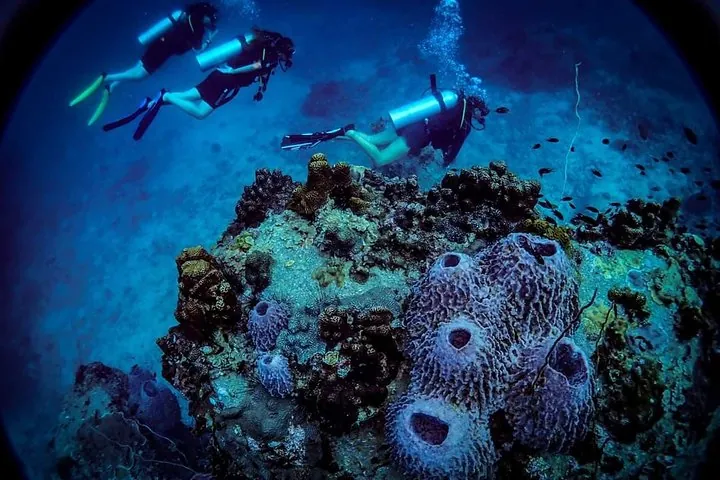 Open Water Course - Become certified diver in 3 days — photo 5