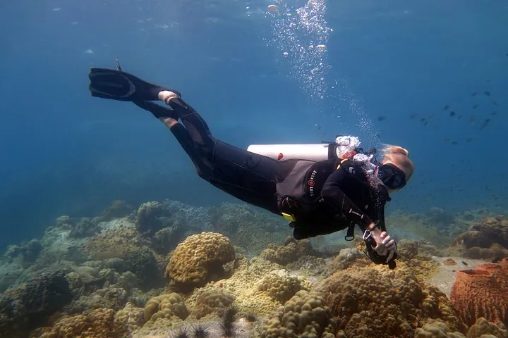 Padi Advanced open Water Diver Courses (Start at Koh Chang) — photo 4