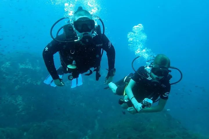PADI Discover Scuba Diving in Koh Tao - half day and two dives — photo 5