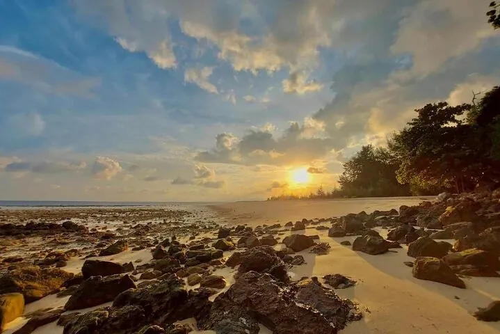 Phi Phi Early Bird & 4 Islands - Day Tour by Speedboat From Krabi — photo 3