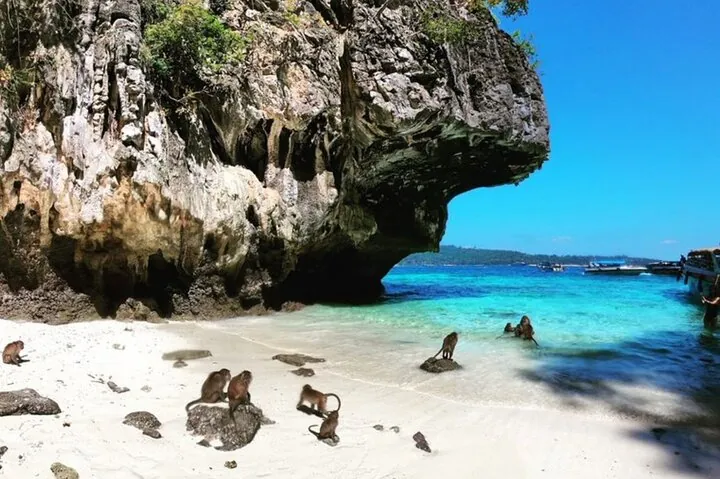 Phi Phi Islands Speedboat Tour Adventure from Krabi — photo 5