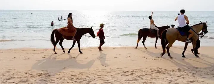 Phuket Beach and Horse Rides 1 Hour Experience