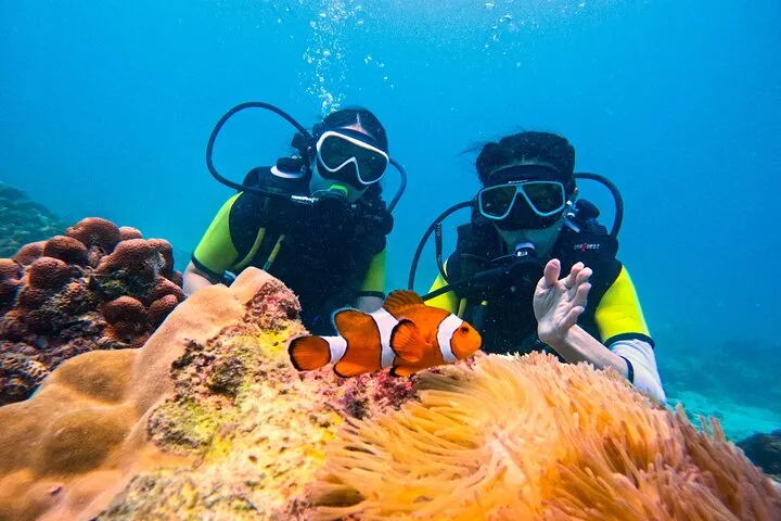 Phuket Scuba Diving: Racha Island Or Maiton Island For All Levels