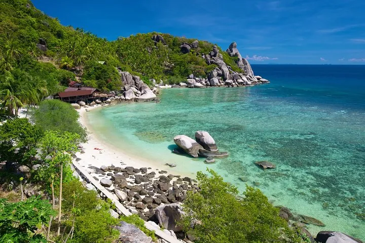 Snorkel with colorful fish in Freedom Bay