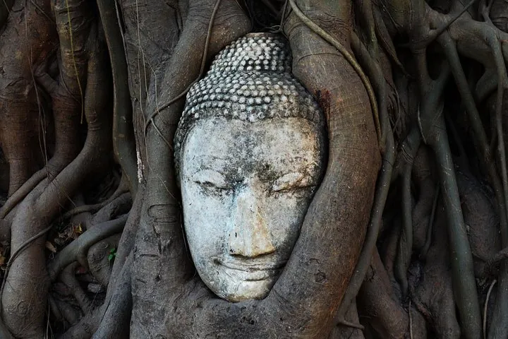 Wat Mahathat Ayutthaya