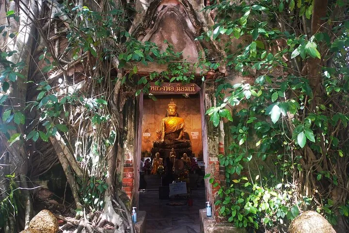 Wat Bang Kung (Temple covered by tree)