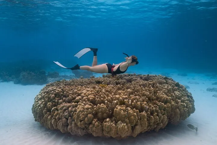 Raya Island / Mai Ton Island Private Boat Tour