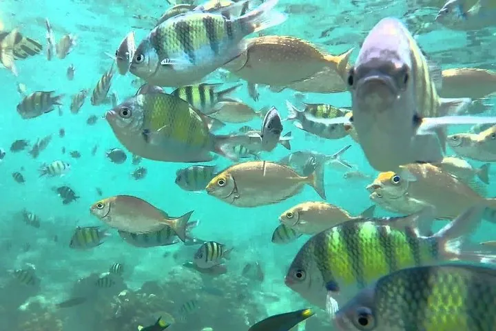 Samui Boat Charter, Private Speedboat Charter, Angthong National Marine Park — photo 5
