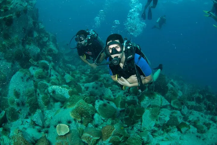 diving above koh chang reef