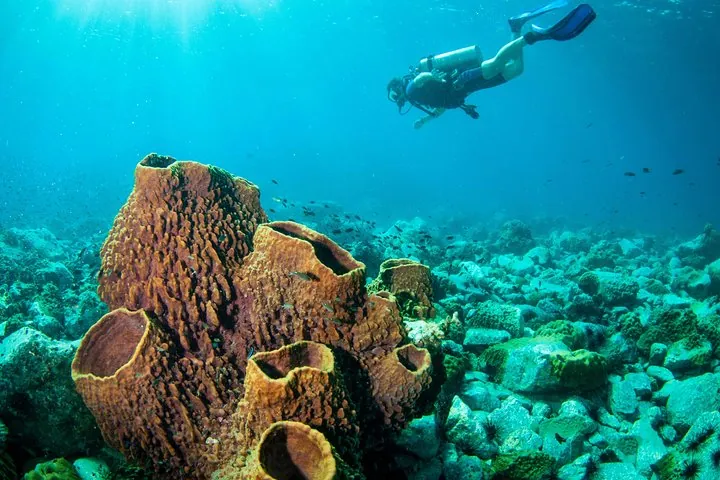 Scuba Diving Day Trip at Koh Chang – 2 Dives — photo 3