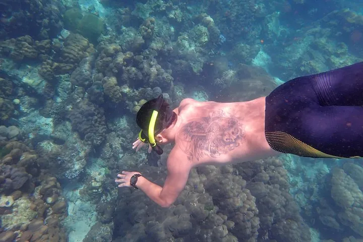 Dive into the turquoise water