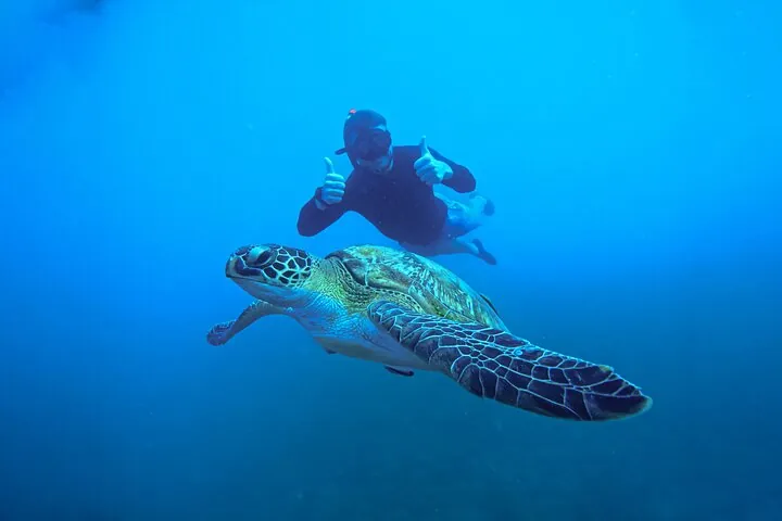 Snorkelling Trip 5 Island Tour Around Koh Tao and Koh Nang yuan