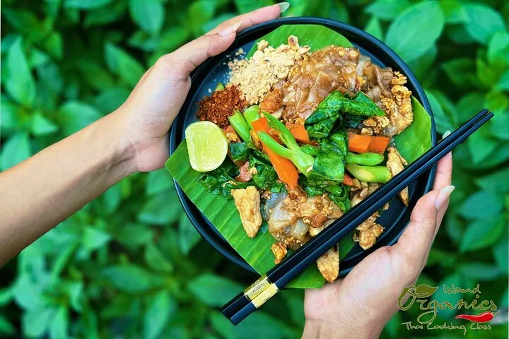 Pad See Ew / Stir Fried Big Noodle with Chicken & Veg