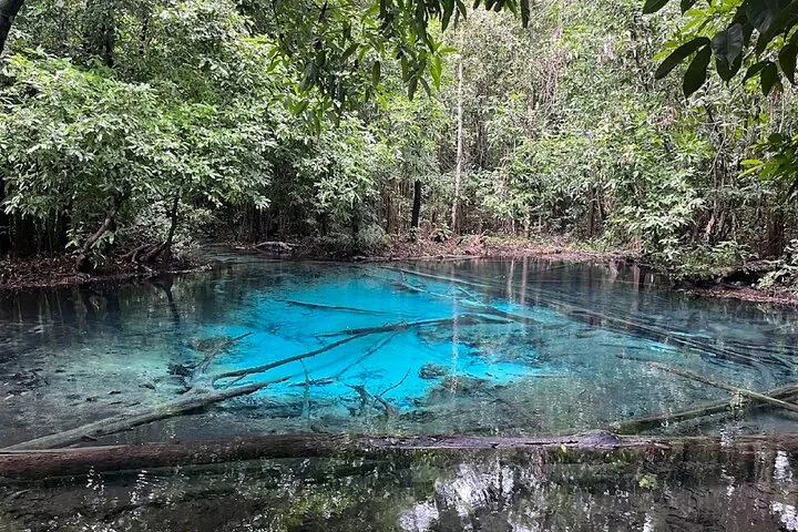 Tiger Cave Temple, Emerald Pool & Hot Springs Tour from Krabi — photo 3