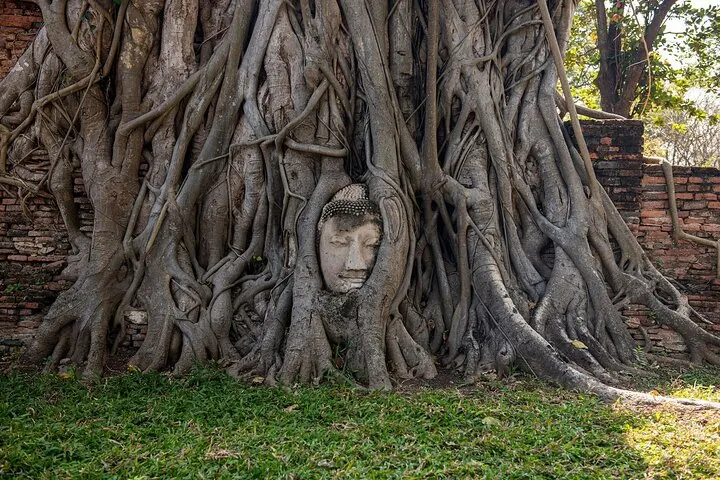 UNESCO's Ayutthaya Historical Park: Full-Day Tour from Bangkok — photo 4