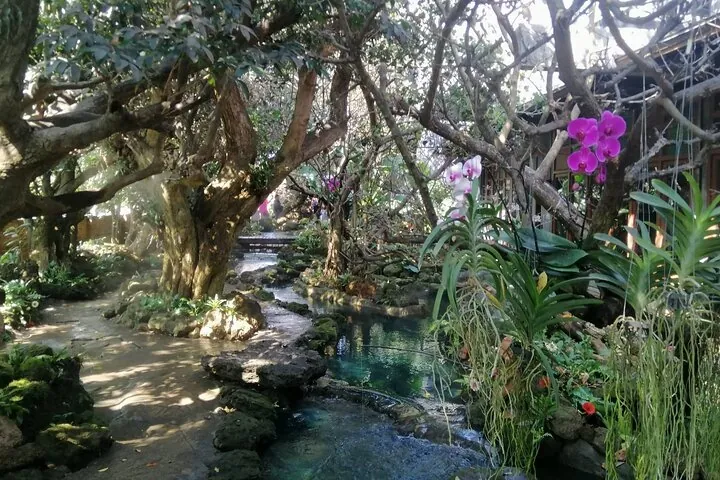 Visit Dantewada(Angel Land), Blue Temple, and Sticky Waterfall — photo 2